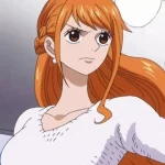 Nami de One Piece / Eiichiro Oda / Toei Animation