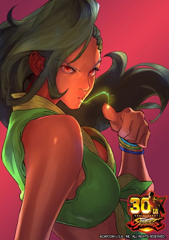 Arte de Laura Matsuda em comemoração aos 30 anos de Street Fighter.